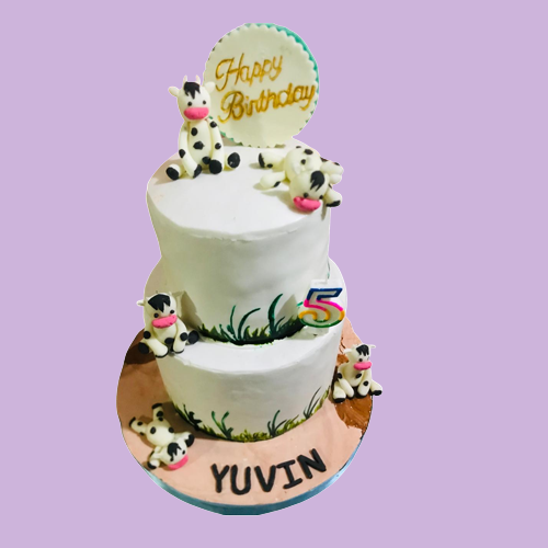 birthday cake birthday cake