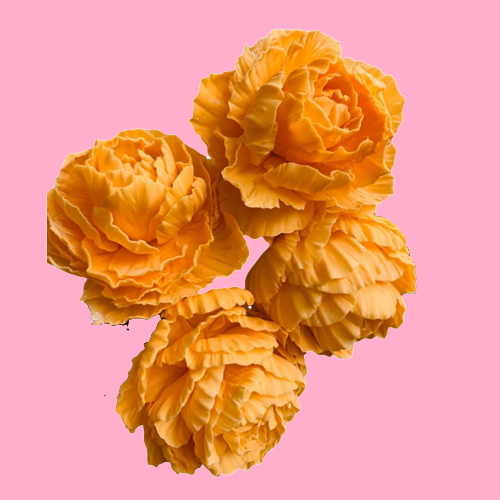 auto draft auto draft