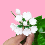 cake flower decoration